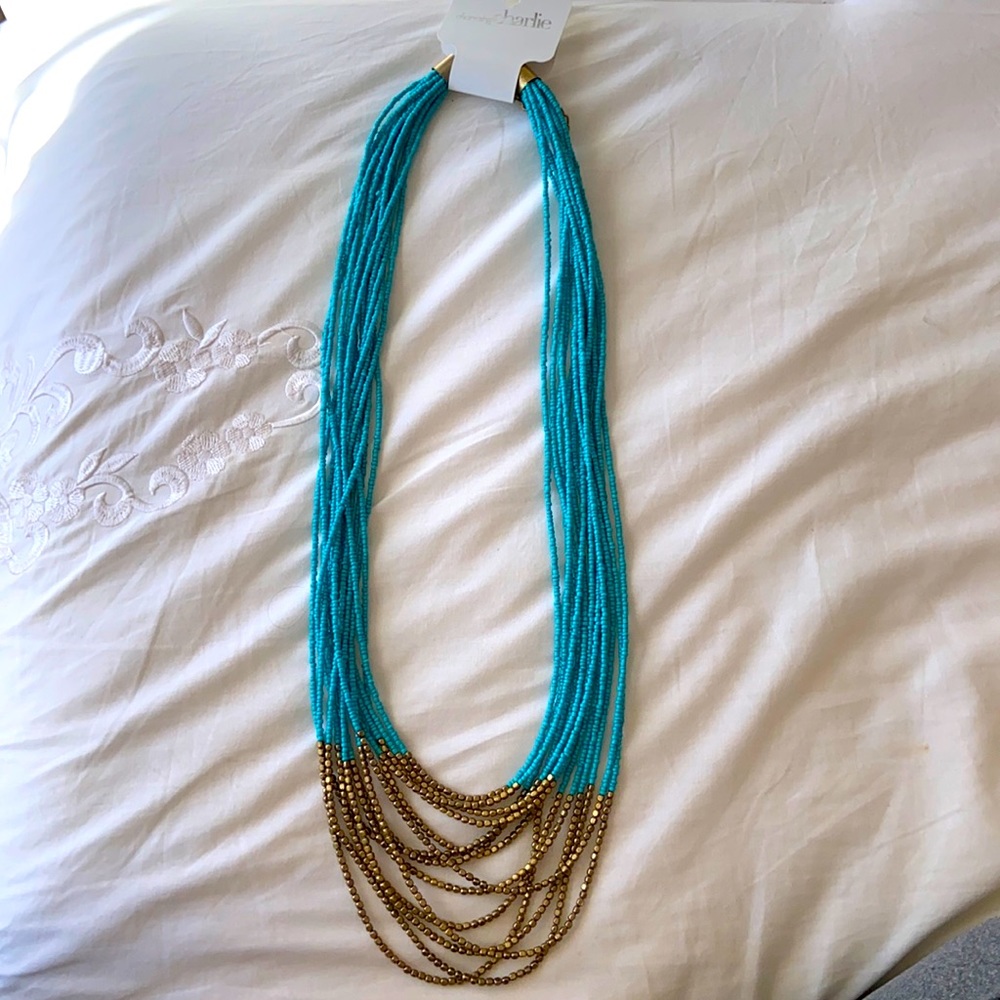 Teal Necklace with gold detailing